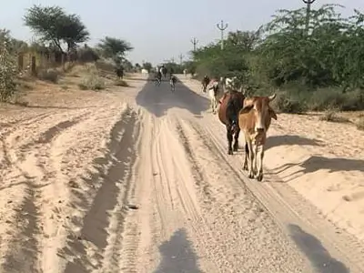 Voyage d'aventure de Ghanerao à Jalore - Road trip captivant au Rajasthan sur une Royal Enfield.