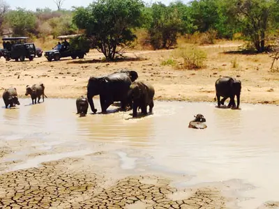 Voyage à moto d'Ella à Udawalawe, en passant par des paysages variés et en se préparant pour une expérience de safari dans le parc national d'Udawalawe.