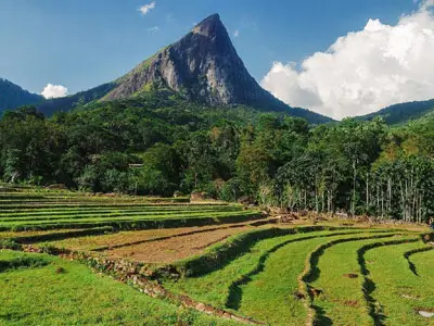 Immersion culturelle à Kandy : Visitez le temple sacré de la Dent et les jardins botaniques royaux. Une touche riche pour votre circuit moto de luxe au Sri Lanka.