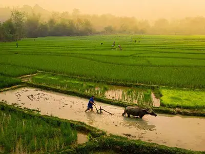 Return to Krabi via winding roads, rubber plantations, and dramatic mountainous scenery