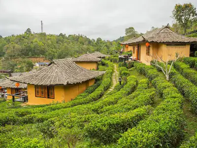 Scenic Mae Hong Son loop with mountain curves, bamboo bridges, and the Chinese village of Ban Rak Thai