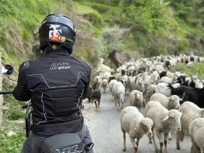 Débutez votre expédition royale dans l'Himalaya avec une arrivée à Delhi, point de départ de votre aventure en Royal Enfield à travers des paysages spectaculaires